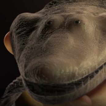 tiktaalik
