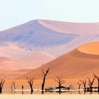 A mirage in the desert, with sand dunes in the background and dry trees in the foreground