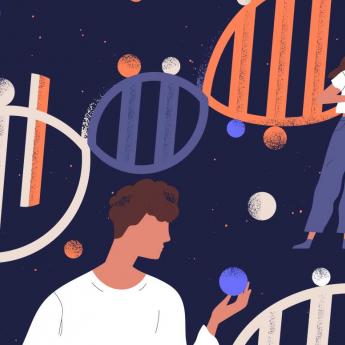 DNA strands
