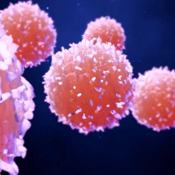T-cell