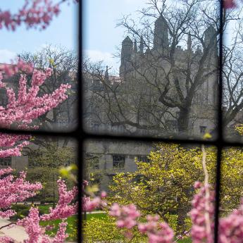 Looking through a window on campus
