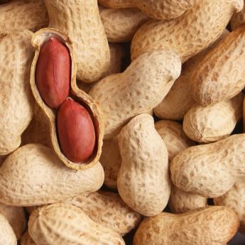 Peanuts