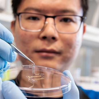 Ph.D. student Nan Li, first author of the new paper, holds up a sample of the adhesive transistor. 