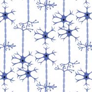 Nanopackages