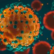 Coronavirus