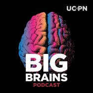 Big Brains logo